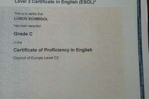 Proficiency in English — Шмиголь Любовь Леонидовна