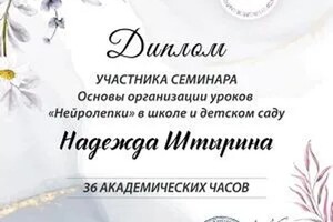 Диплом / сертификат №1 — Штырина Надежда Александровна