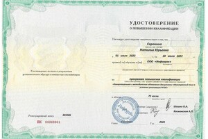 Диплом / сертификат №1 — Сорокина Наталья Юрьевна