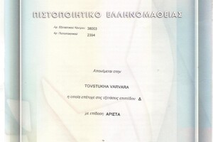 Сертификат Салоникского университета, подтверждающий уровень владения греческим языком Ελληνομάθεια Δ — Товстуха Варвара Александровна