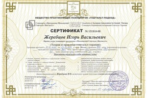 Диплом / сертификат №3 — Жеребцов Игорь Васильевич