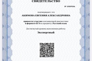 Диплом / сертификат №7 — Акимова Евгения Александровна