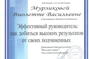 Диплом / сертификат №2 — Альбе Виолетта Васильевна