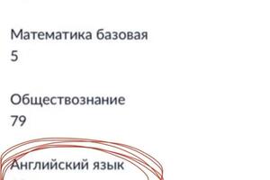 Девочка занималась со мной два года, и все это время мы готовились к экзамену, который она в дальнейшем написала на тот... — Алейникова Вера Валентиновна