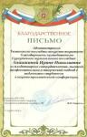 Благодарственное письмо за плодотворное сотрудничество — Анашкина Ирина Николаевна