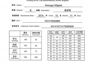 Сертификат HSK — Анищук Мария Олеговна