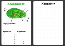 Карточка конспекта по биологии по теме (2 мембранных органоидов) — Антонкин Роман Алексеевич