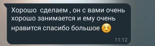 Отзыв родителя о работе с ребенком — Ануров Александр Викторович