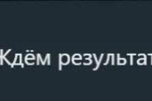 Отзыв родителя — Ануров Александр Викторович