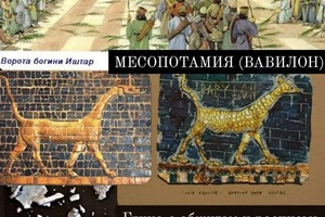 История искусств+рисование — Азолина Дарья Юрьевна