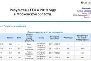 Диплом / сертификат №4 — Балашова Елена Михайловна