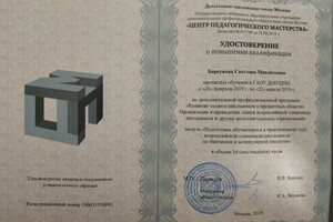 Диплом / сертификат №19 — Барсукова Светлана Михайловна