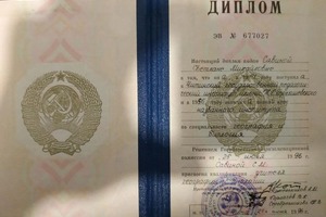 Диплом / сертификат №33 — Барсукова Светлана Михайловна