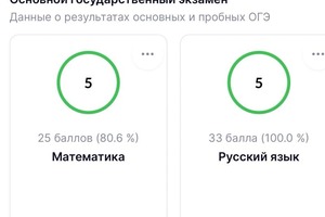 Результаты экзаменов по русскому и математике — Батюшкина София Владимировна