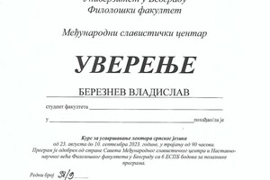 Диплом / сертификат №2 — Березнев Владислав Игоревич