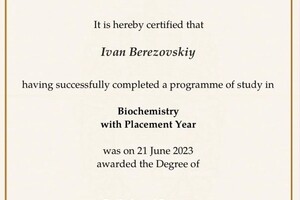 Диплом / сертификат №5 — Березовский Иван Константинович