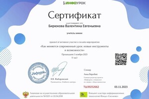 Диплом / сертификат №4 — Бирюкова Валентина Евгеньевна