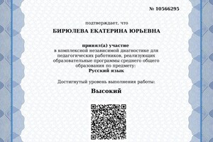 Диплом / сертификат №9 — Бирюлева Екатерина Юрьевна