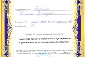 Помощь детям с нарушениями развития и ОВЗ — Богданова Светлана Арнольдовна