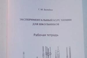 Экспериментальный курс химии для школьников. Рабочая тетрадь. — Болейко Гелена Михайловна