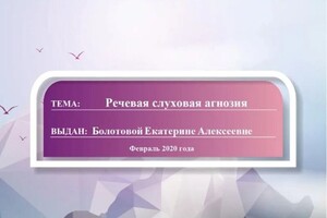 Диплом / сертификат №126 — Болотова Екатерина Алексеевна