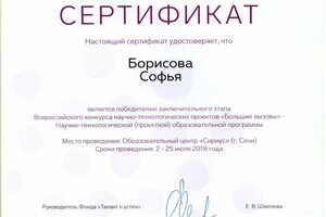 Диплом / сертификат №2 — Борисова Софья Романовна