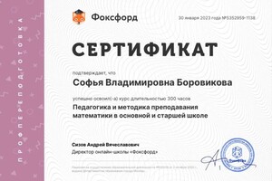 Диплом / сертификат №1 — Боровикова Софья Владимировна