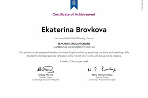 Teaching English online — Бровкова Екатерина Дмитриевна