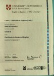 Диплом / сертификат №15 — Брянская Анна Леонидовна