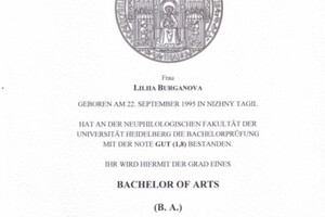 Диплом Гейдельбергского Университета — Баум Лилия Фаритовна