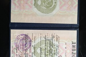 Диплом / сертификат №1 — Цагарелли Ольга Юрьевна
