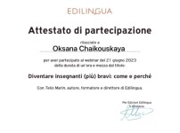 Диплом / сертификат №20 — Чайковская Оксана Владимировна