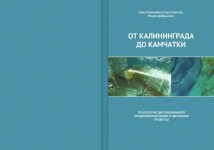 Диплом / сертификат №3 — Чекмарёва Анна Сергеевна