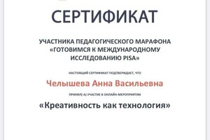 Диплом / сертификат №4 — Челышева Анна Васильевна