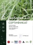 Диплом / сертификат №9 — Черкасов Матвей Георгиевич