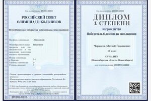 Диплом / сертификат №12 — Черкасов Матвей Георгиевич