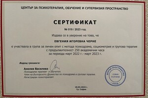 Диплом / сертификат №9 — Чернэ Евгения Игоревна