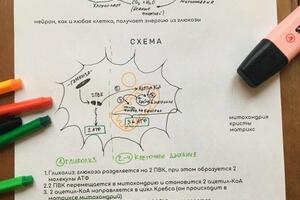 Рабочие тетради на занятиях — Черныш Наталия Алексеевна