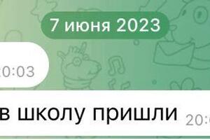 Результат моей ученицы на ЕГЭ 2023 — Чернышова Алиса Павловна