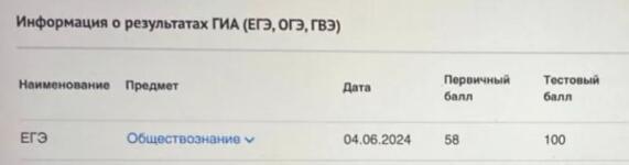 100 баллов у ученицы в 2024 году ОБЩЕСТВОЗНАНИЕ ЕГЭ — Чипурных Святослав Игоревич