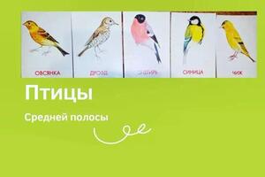 Обучение дошкольников — Чуланова Юлия Михайловна