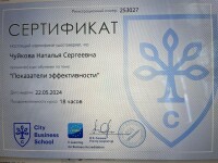 Диплом / сертификат №5 — Чуйкова Наталья Сергеевна