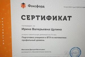 Подготовка учащихся к ЕГЭ по математике: профильный уровень — Цулина Ирина Валерьевна