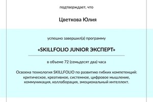 Диплом / сертификат №3 — Цветкова Юлия Николаевна