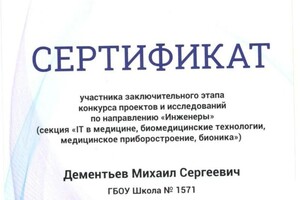 Диплом / сертификат №8 — Дементьев Михаил Сергеевич