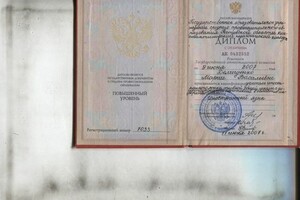 Диплом / сертификат №1 — Демиденко Мария Васильевна