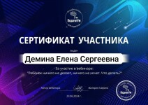 Диплом / сертификат №1 — Демина Елена Сергеевна