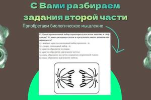 Портфолио №4 — Довгуша Тимофей Павлович