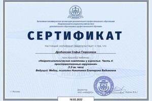 Диплом / сертификат №16 — Дробинская Софья Георгиевна