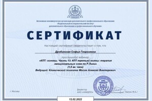 Диплом / сертификат №17 — Дробинская Софья Георгиевна